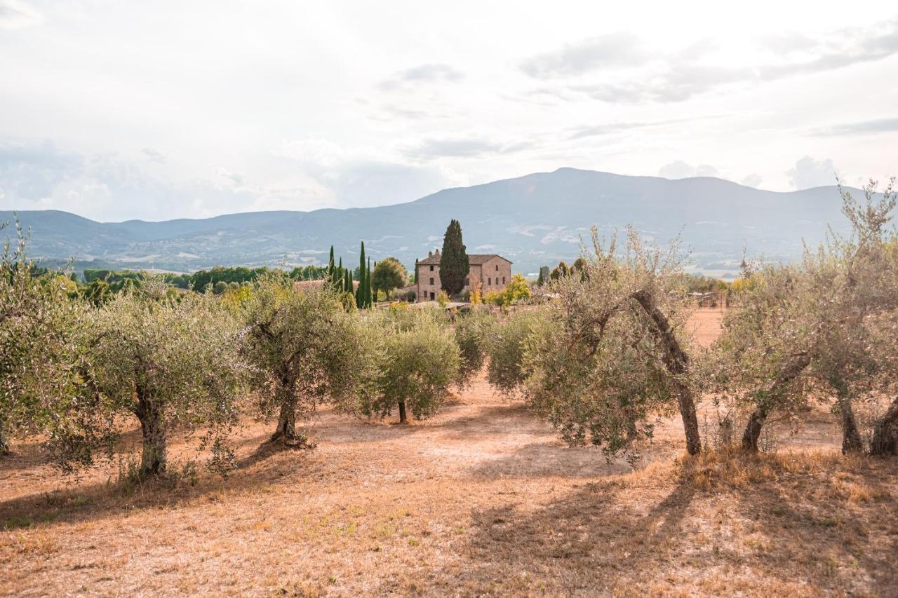 Città della Pieve San Carlo A La Molinellaゲストハウス エクステリア 写真