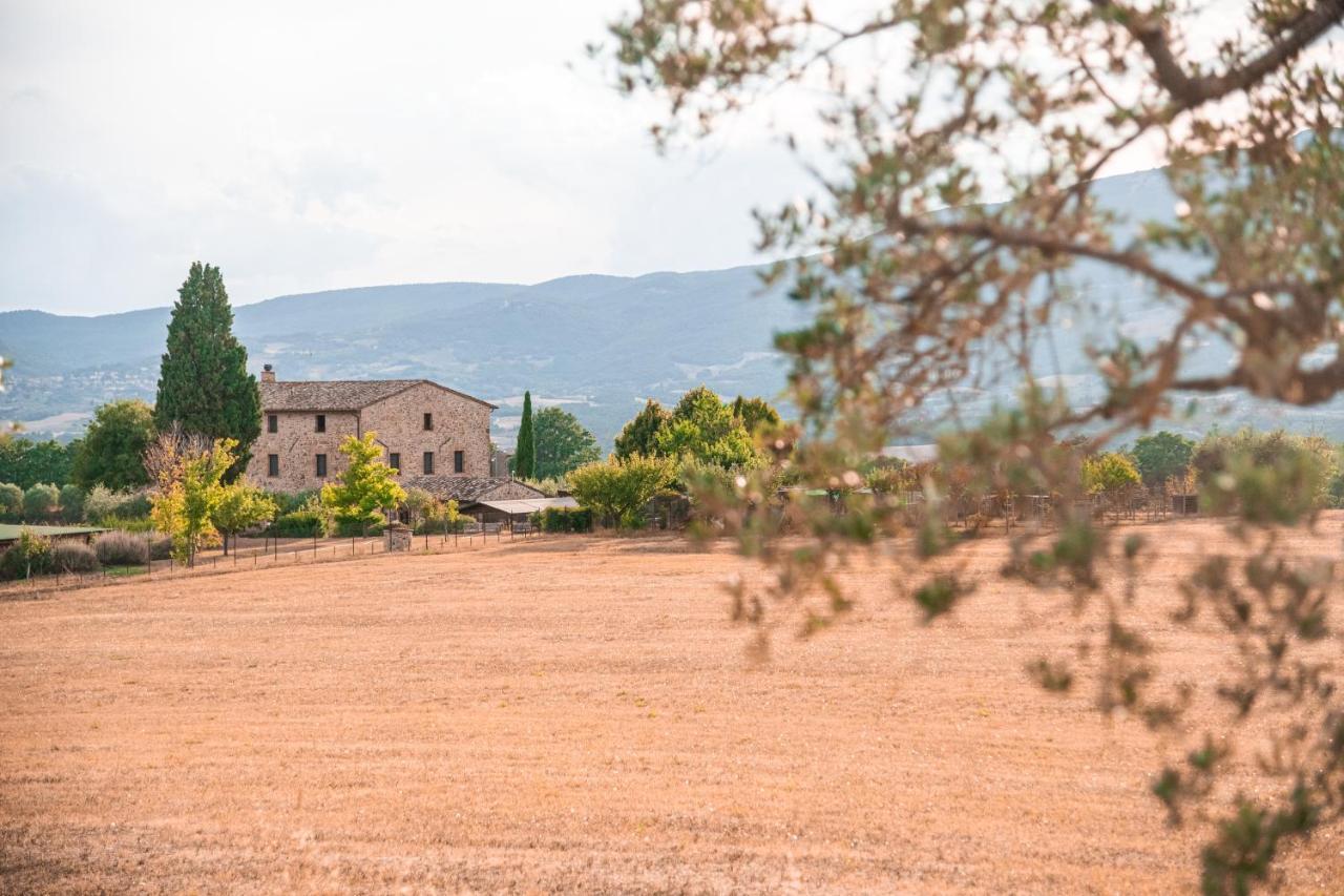 Città della Pieve San Carlo A La Molinellaゲストハウス エクステリア 写真