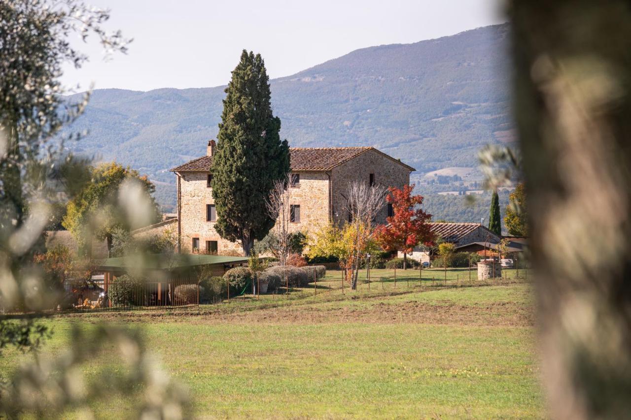Città della Pieve San Carlo A La Molinellaゲストハウス エクステリア 写真