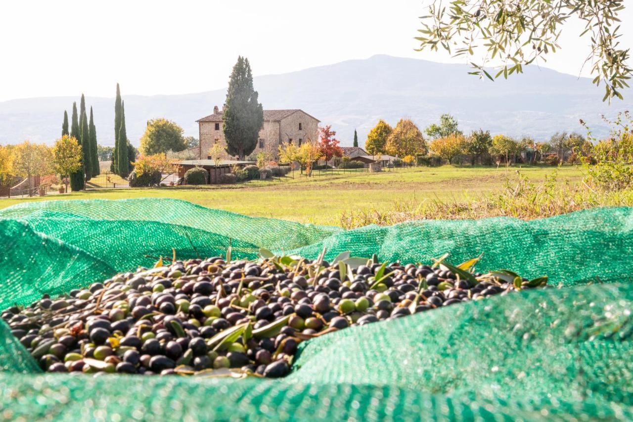 Città della Pieve San Carlo A La Molinellaゲストハウス エクステリア 写真
