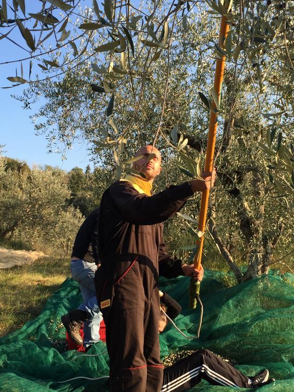 Città della Pieve San Carlo A La Molinellaゲストハウス エクステリア 写真